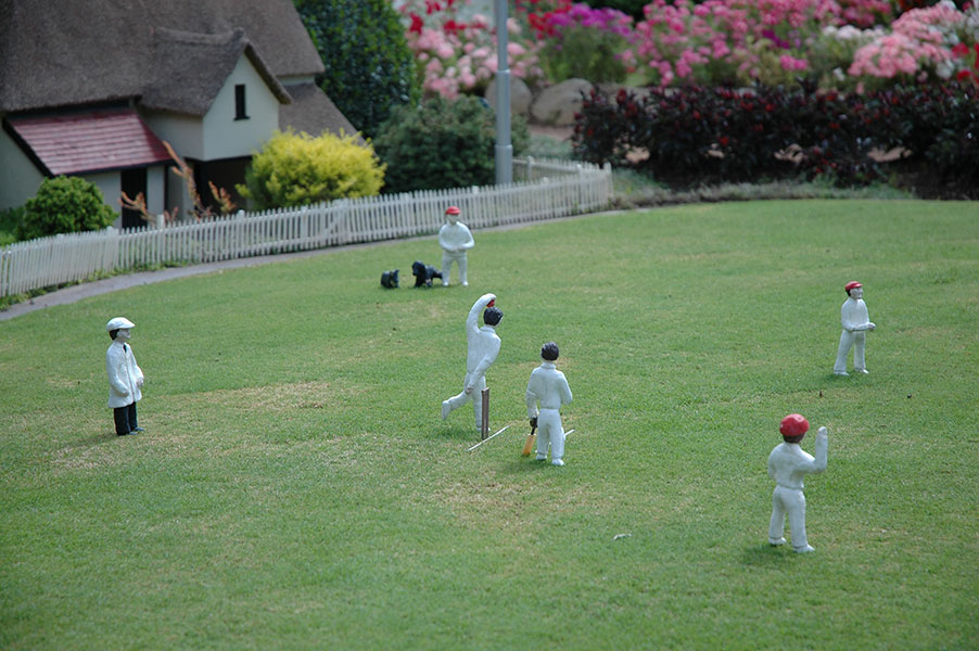 Cricket Match