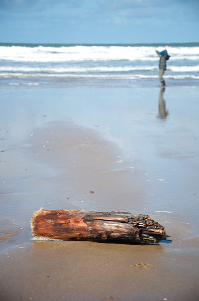 Driftwood and Guy