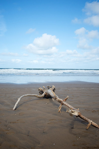 Stick and Sea